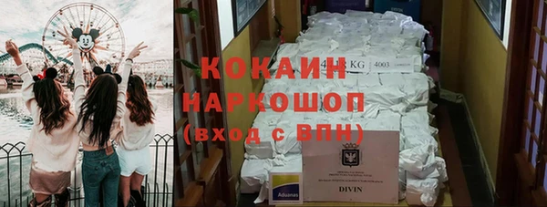 тгк Арсеньев