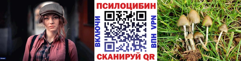 Псилоцибиновые грибы мицелий  Купить где  Яранск 
